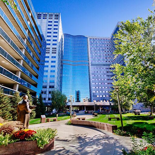 Fisheye image of Mayo Clinic grounds