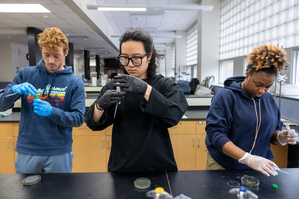 Three students at a laboratory bench inspect test tubes