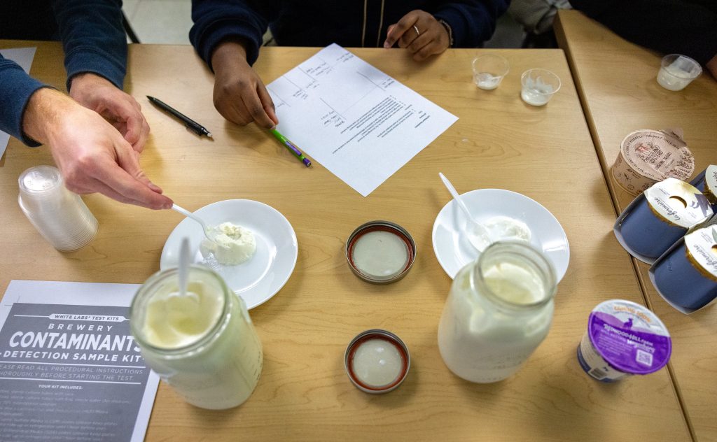 Bowls of yogurt sit on a table for students to taste and compare