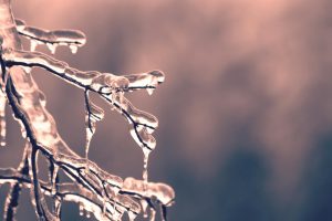 Are You Getting Enough Vitamin D?